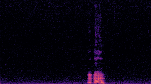 VPU spectrogram, embedded in the frame, throat clearing