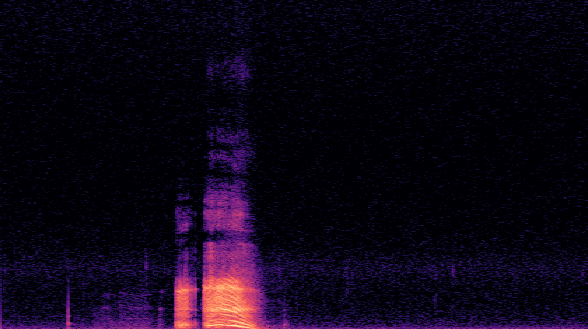 VPU spectrogram, hollow frame, throat clearing